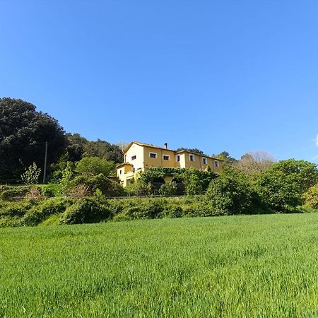 Mas Pitre Bed & Breakfast Besalu Exterior photo